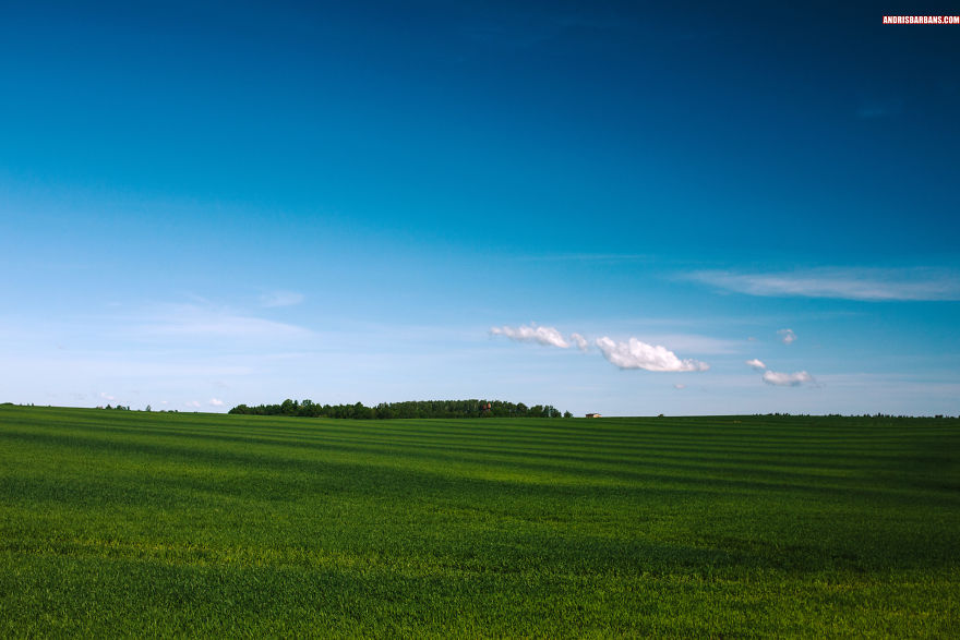 Green Meadow Near Kuldiga