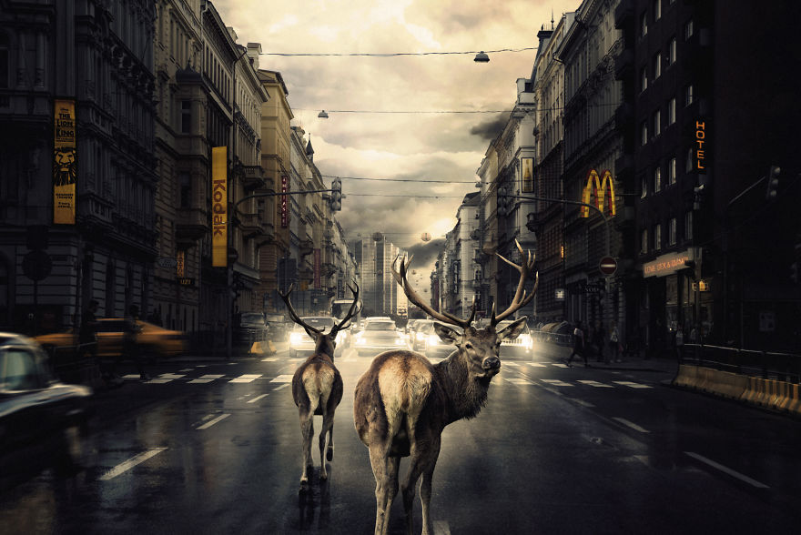 Behind The Scenes Of Fineart Photo "I Bloom For You" By Award-Winning Photographer Martin Stranka Behind The Scenes Of Fineart Photo "I Bloom For You" By Award-Winning Photographer Martin Stranka