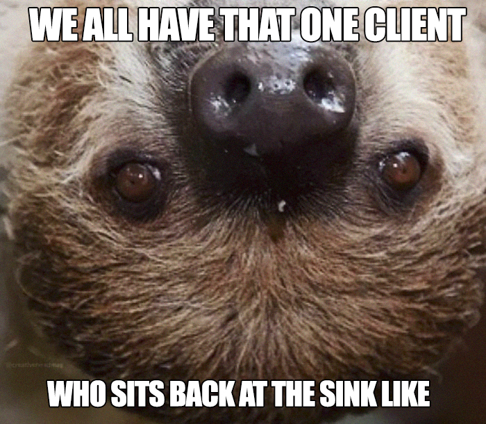 Sloth meme humorously depicting a challenging hairstylist client scenario.