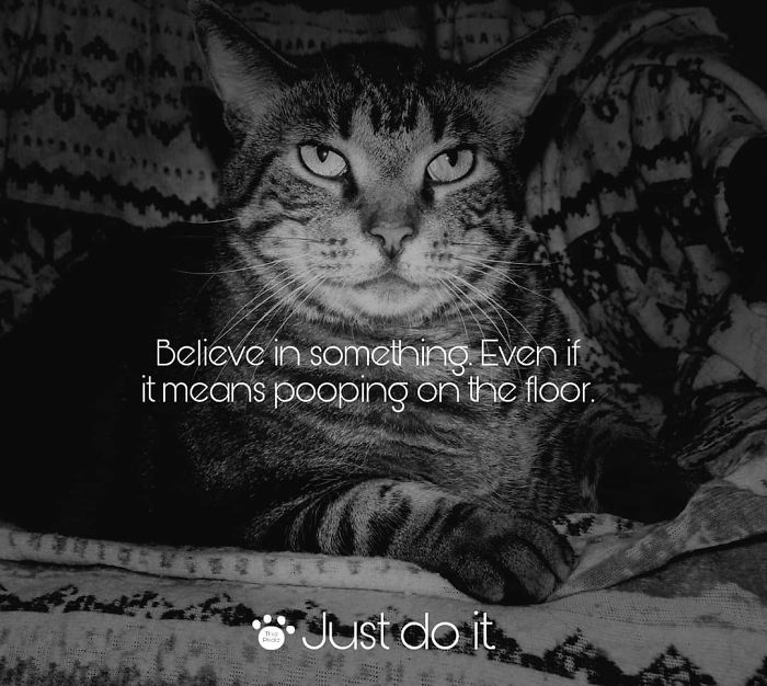 Colin Kaepernick-Nike-Memes