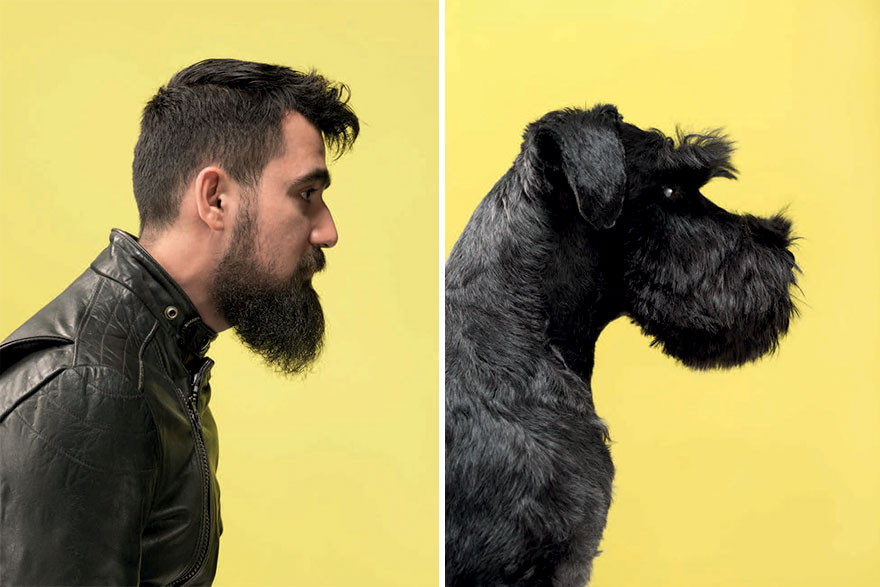 Cenk & Horst (Schnauzer)