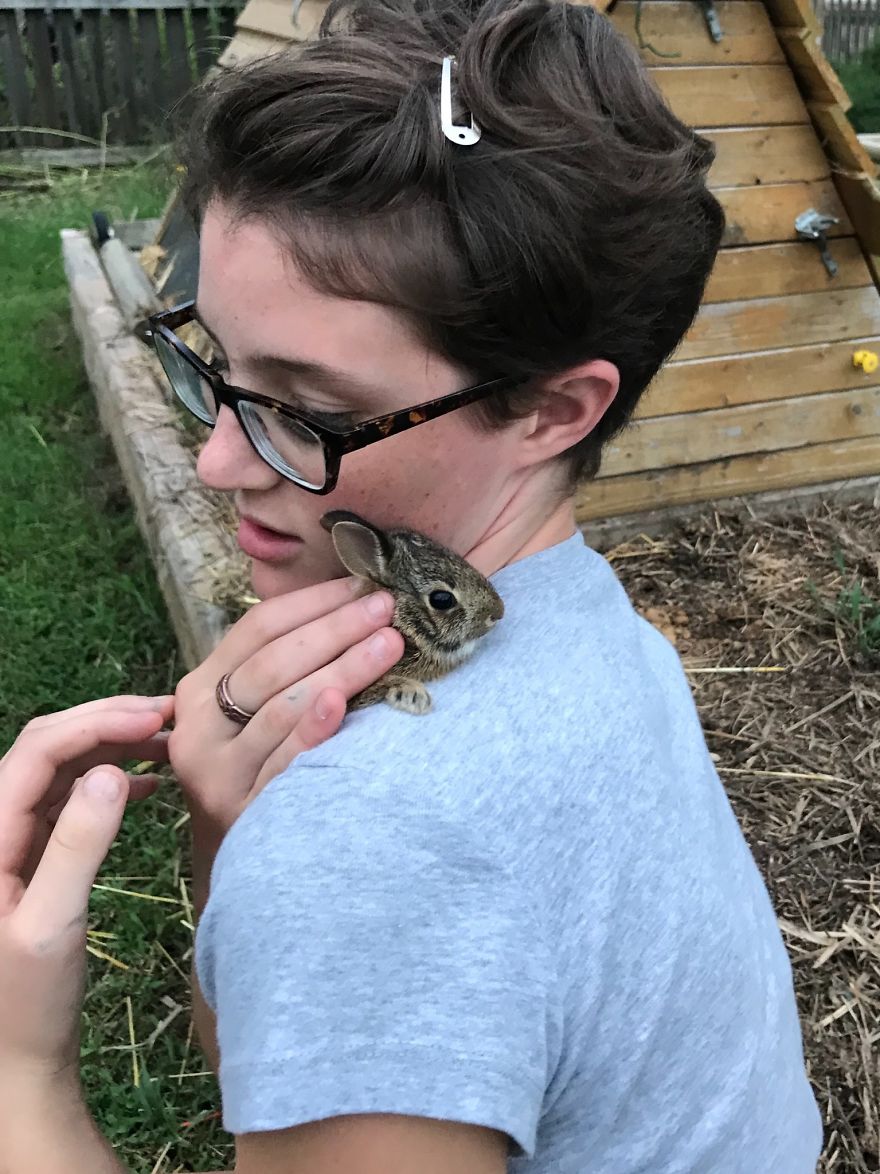 We Found A Bunny... With Our Chickens!