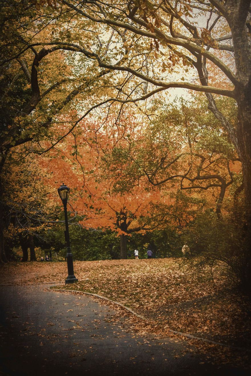 "Fall"Ing In Love With New York City