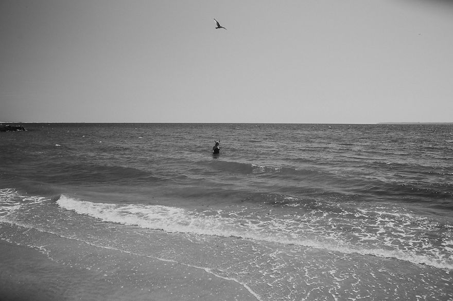 Legendary Coney Island In Summer