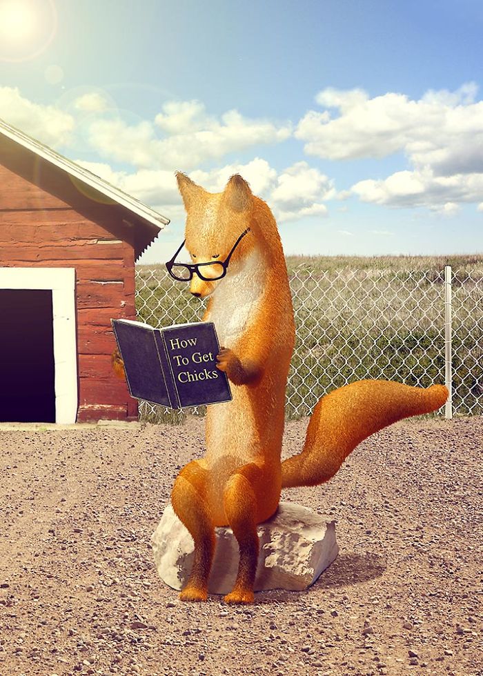 Crazy Real-Life Situations In An Imaginary World Of Animals