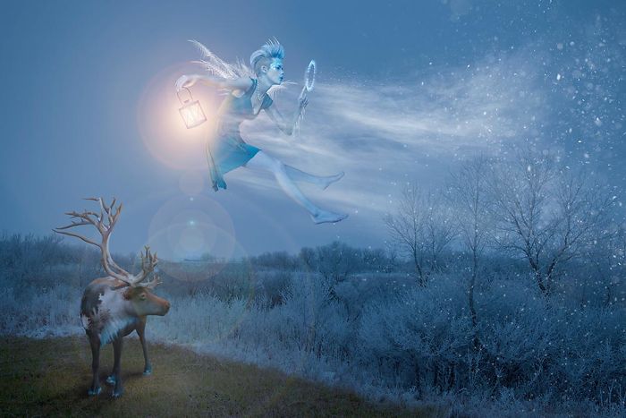 Crazy Real-Life Situations In An Imaginary World Of Animals