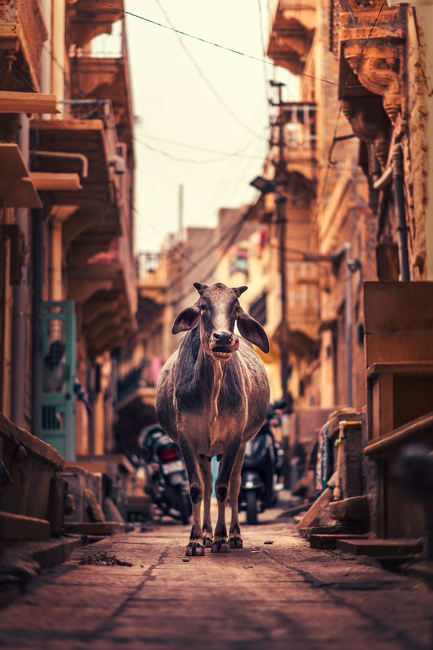 I Explore And Capture The Quiet Side Of City Life In The Narrow Streets Of South Asia