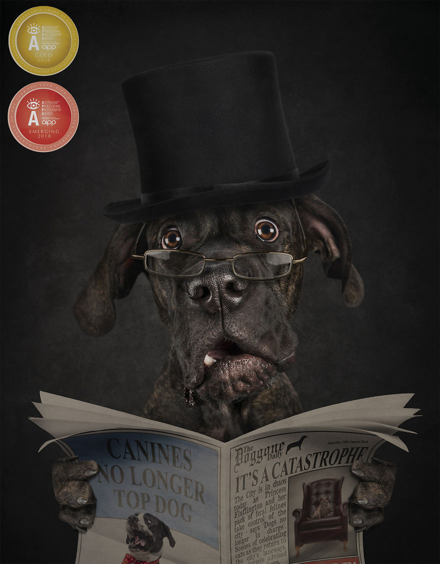 Modern Day Feminism Has Gone To The Dogs Modern Day Feminism Has Gone To The Dogs