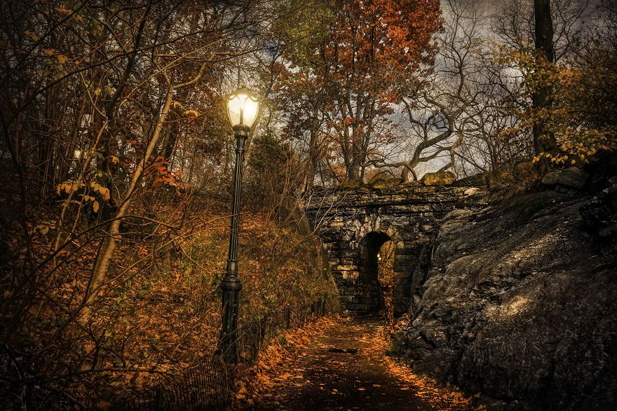 "Fall"Ing In Love With New York City