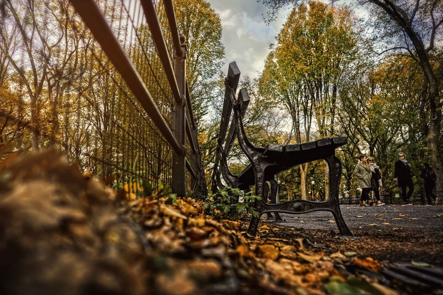 "Fall"Ing In Love With New York City