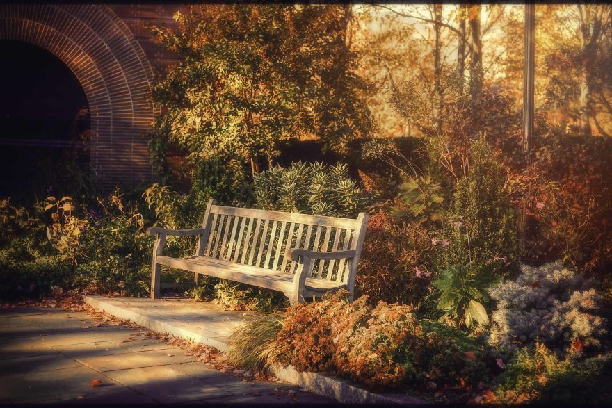 "Fall"Ing In Love With New York City