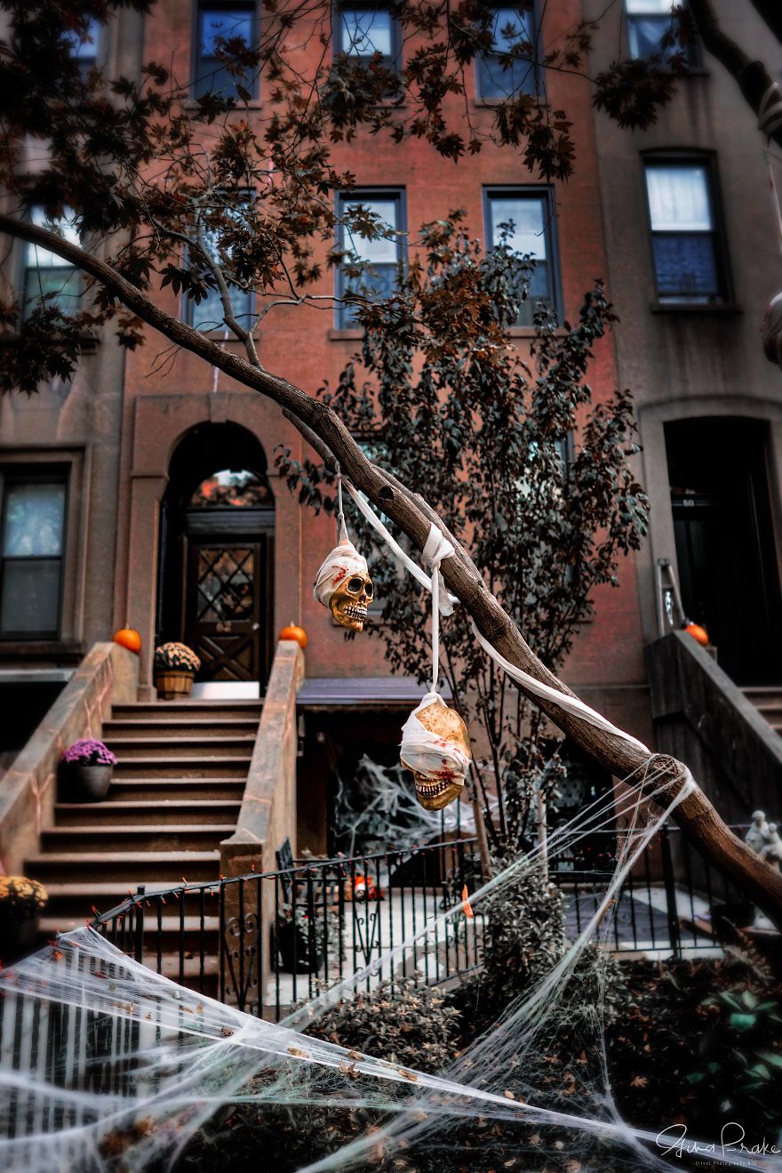 "Fall"Ing In Love With New York City