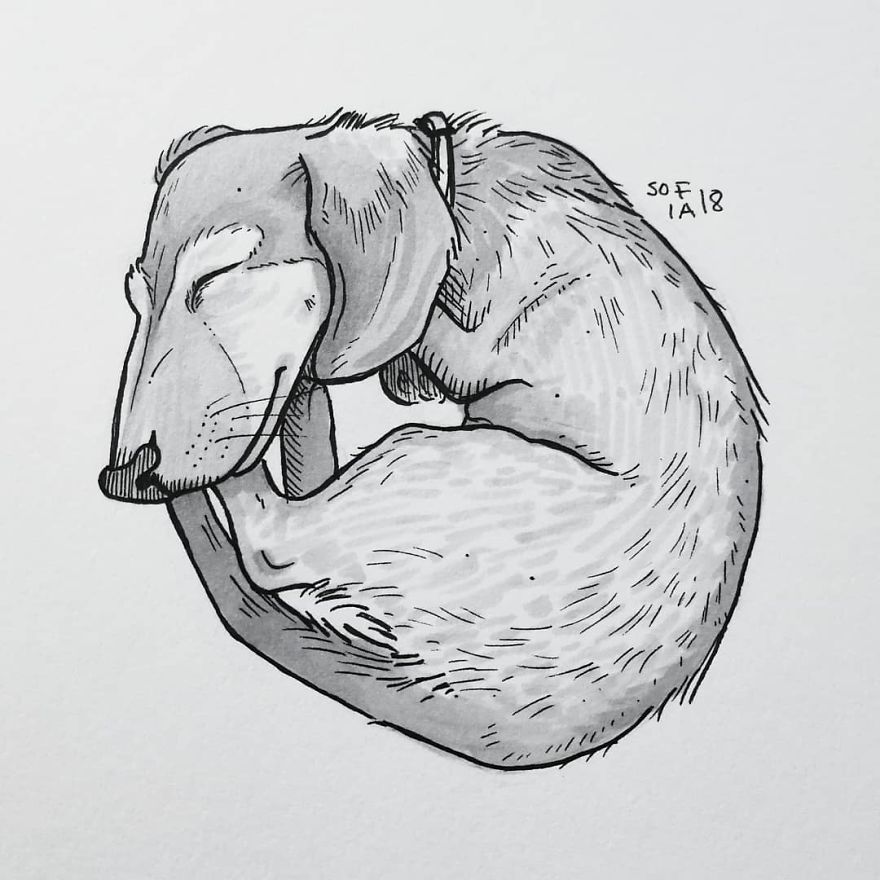 The Tiniest Dachshund.