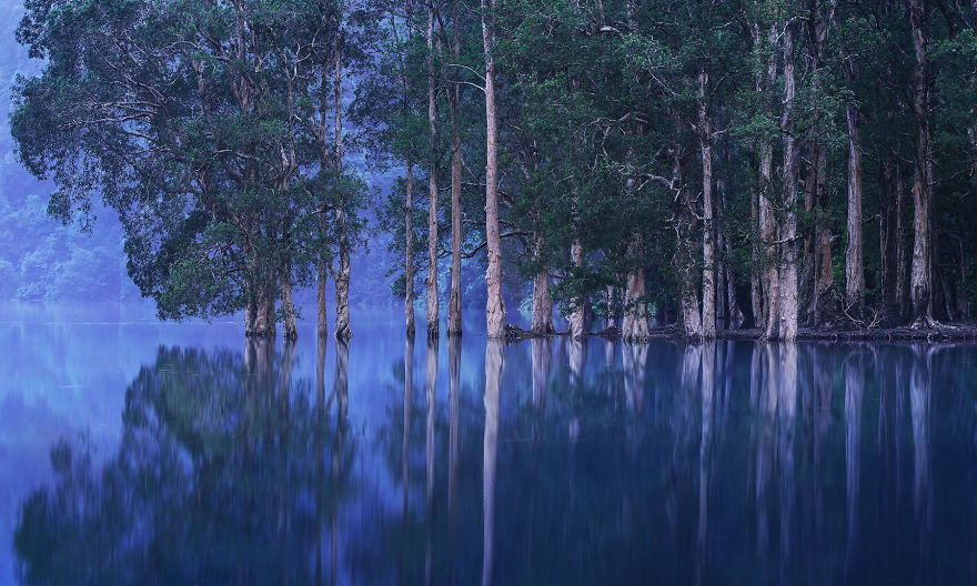 Hong Kong Land And Sea #11, 2017