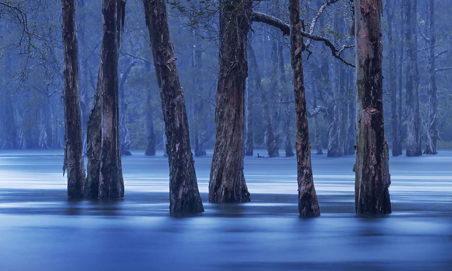 Hong Kong Land And Sea #5, 2017