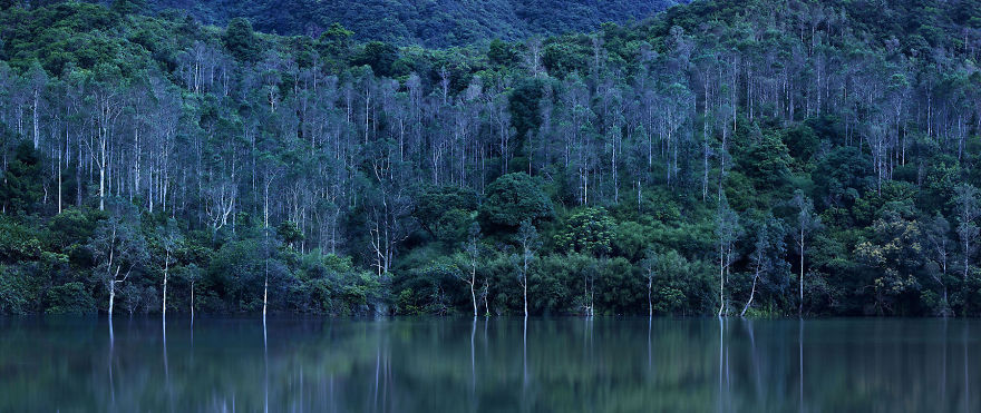 Hong Kong Land And Sea #6, 2017