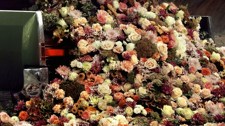 Behind The Scenes Of Fineart Photo "I Bloom For You" By Award-Winning Photographer Martin Stranka