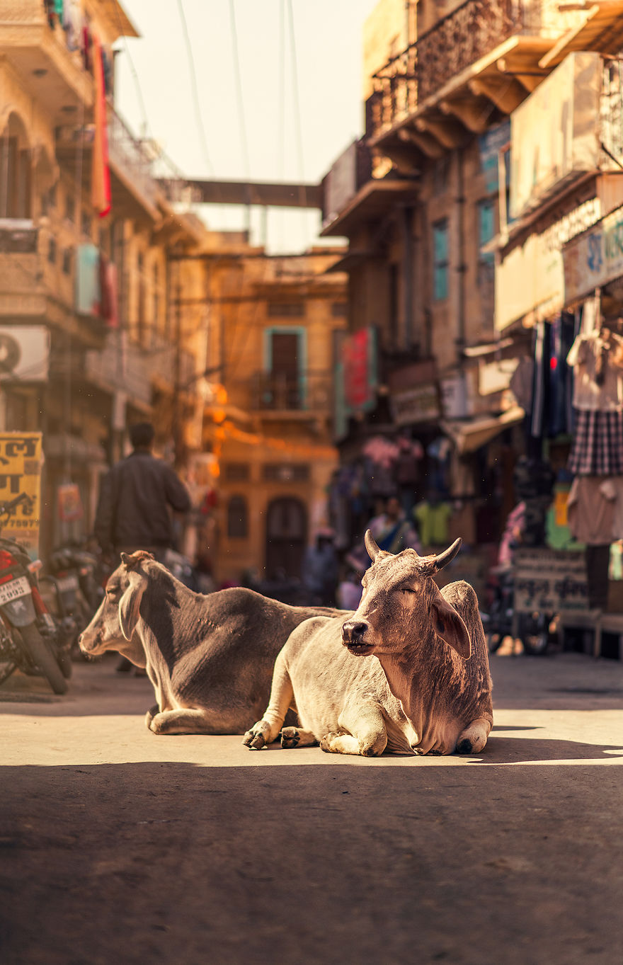 I Explore And Capture The Quiet Side Of City Life In The Narrow Streets Of South Asia