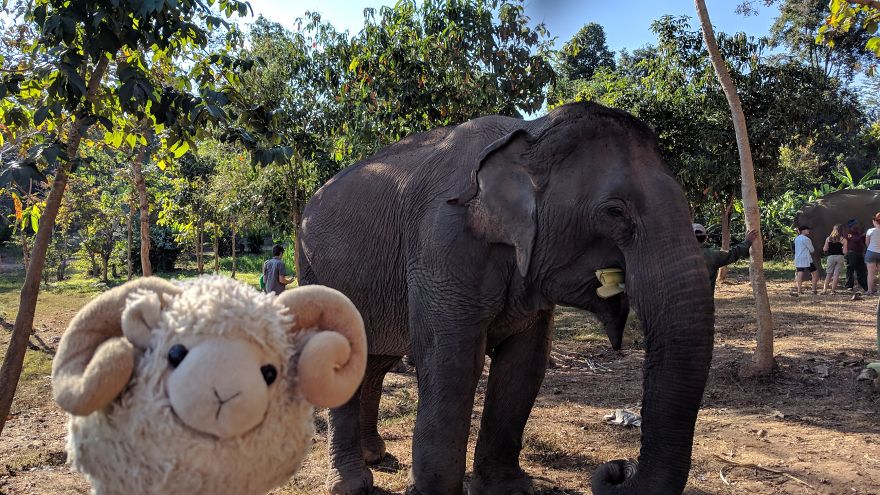 He's So Big And I Am So Small...