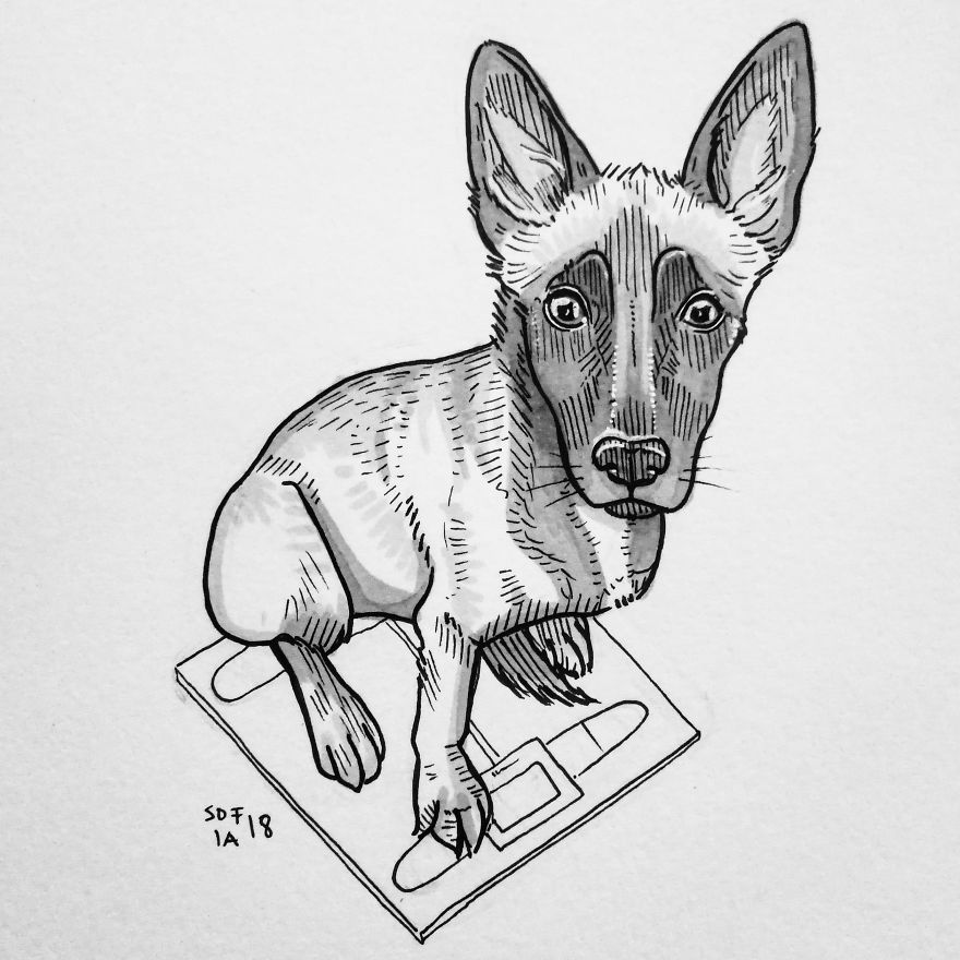 Malinois Pupper