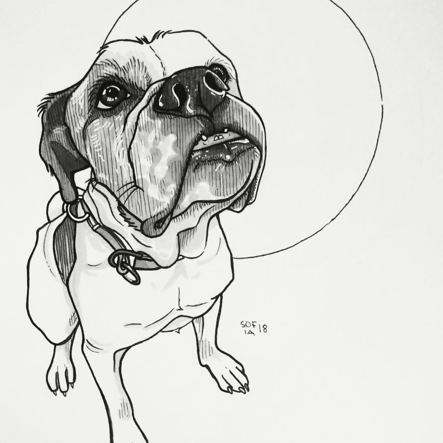 American Staffordshire Terrier