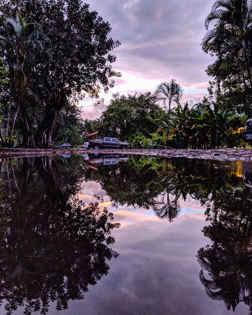 Travelling Through The Parallel Worlds Of Puddels (New Pics)