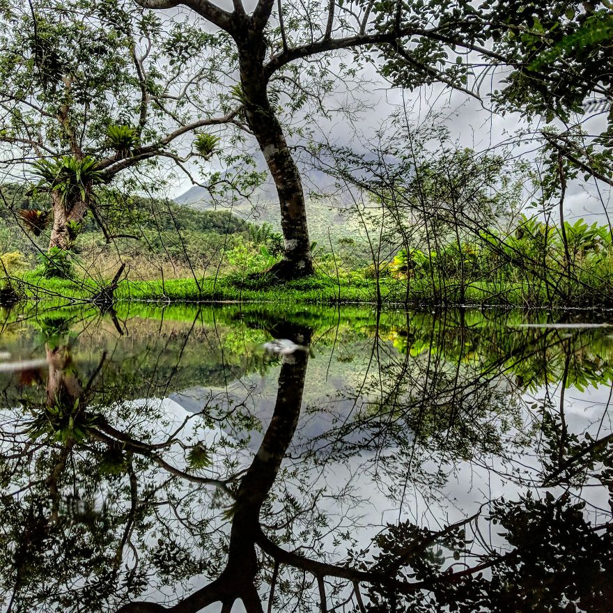 Travelling Through The Parallel Worlds Of Puddels (New Pics)