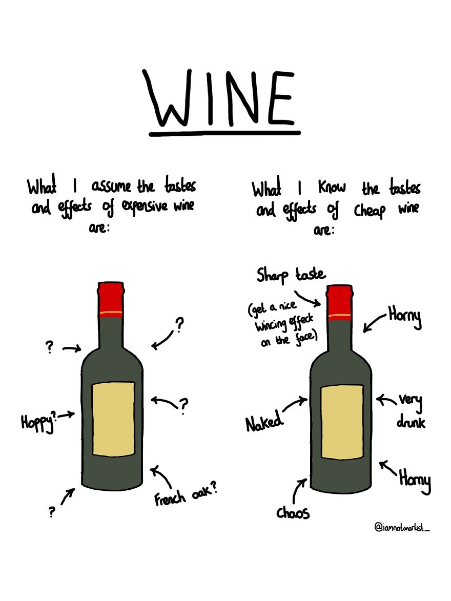 27 Cartoons That Are Too Relevant For Anyone Who Likes Alcohol, Sex And Being An Idiot.