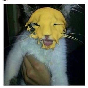 benji5isalive avatar