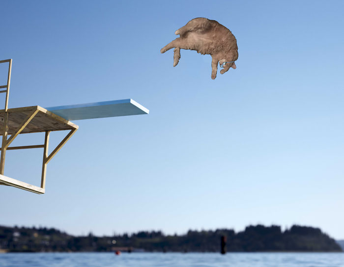 You Know Mcgyver...here Is Catdiver