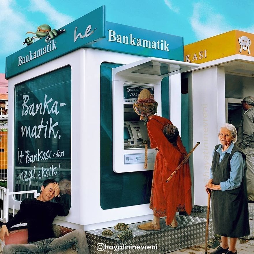 Tortoise Trainer Vs. Me