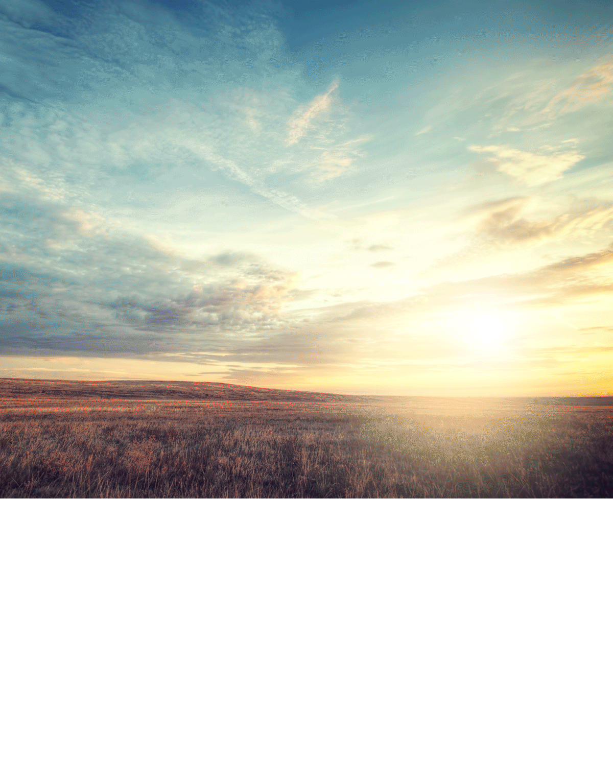 ..photoshop In Motion Of Mr Pacman..