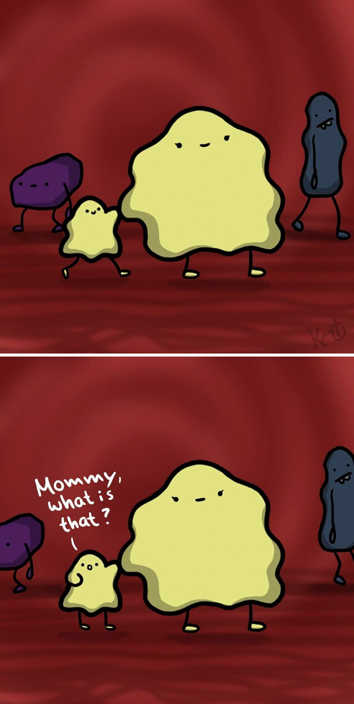 I'm Not The Prettiest But I Have A Good Personality, And Here's My Life As A Potato (24 Comics)