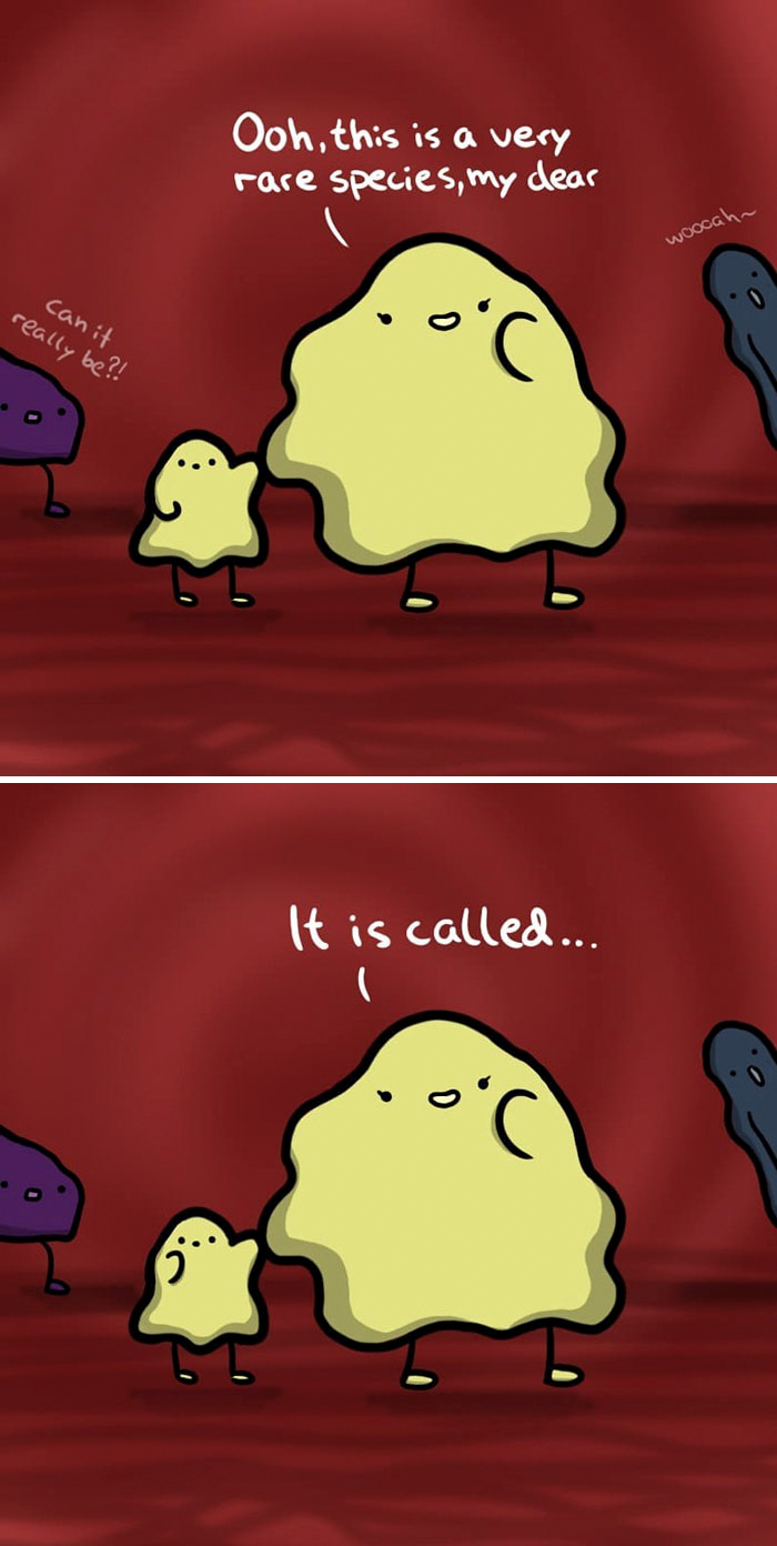 I'm Not The Prettiest But I Have A Good Personality, And Here's My Life As A Potato (24 Comics)