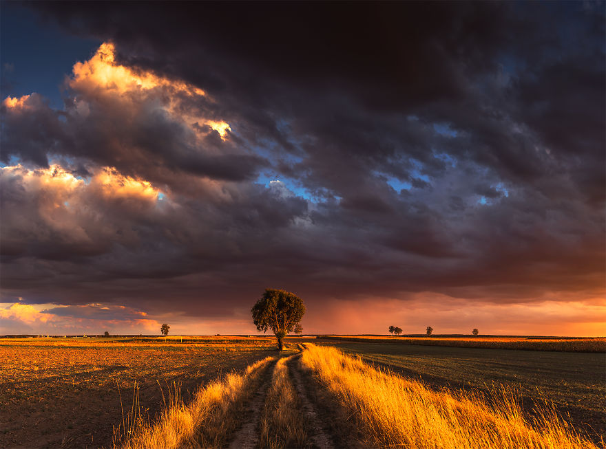 I Just Wanted To Ride A Bike And Something Told Me To Take My Camera With Me