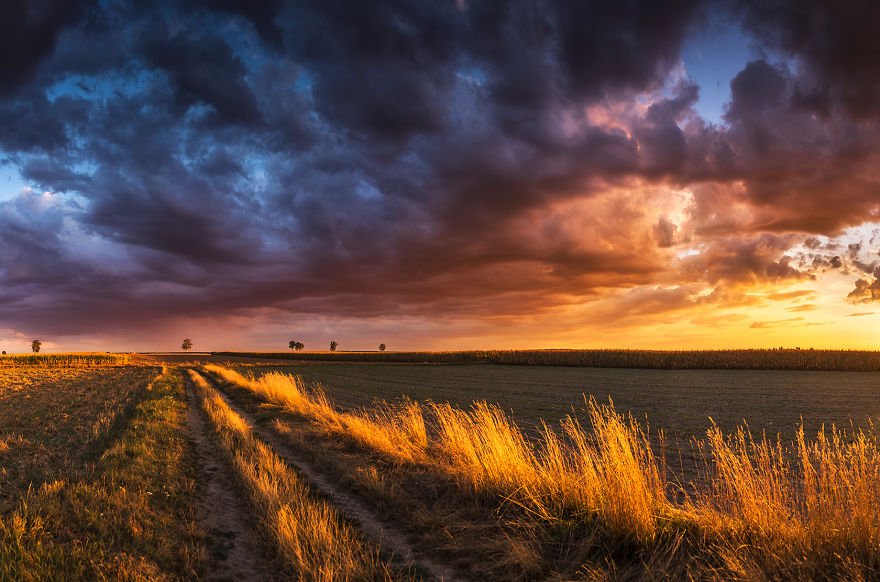 I Just Wanted To Ride A Bike And Something Told Me To Take My Camera With Me