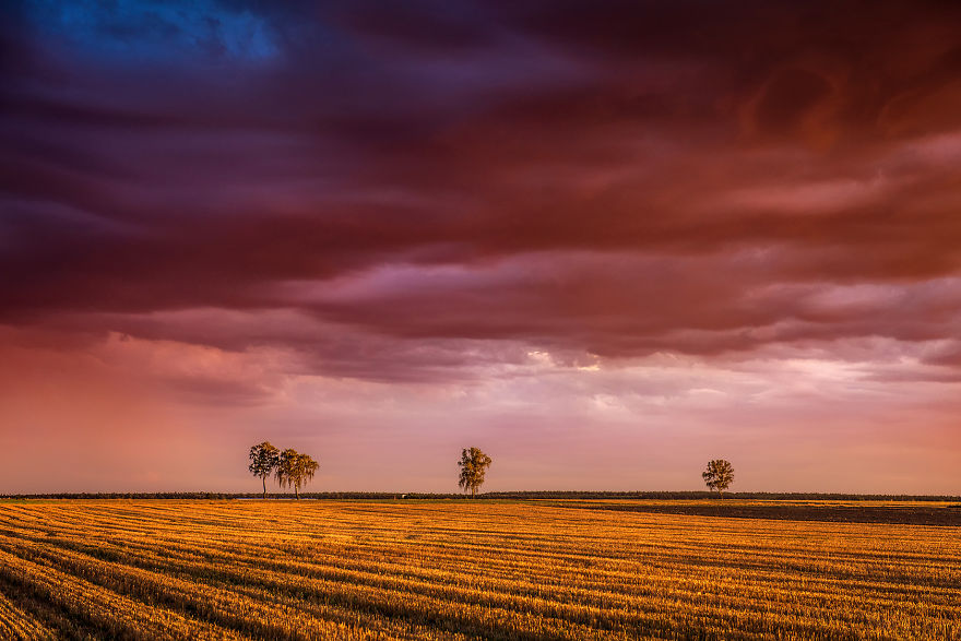 I Just Wanted To Ride A Bike And Something Told Me To Take My Camera With Me