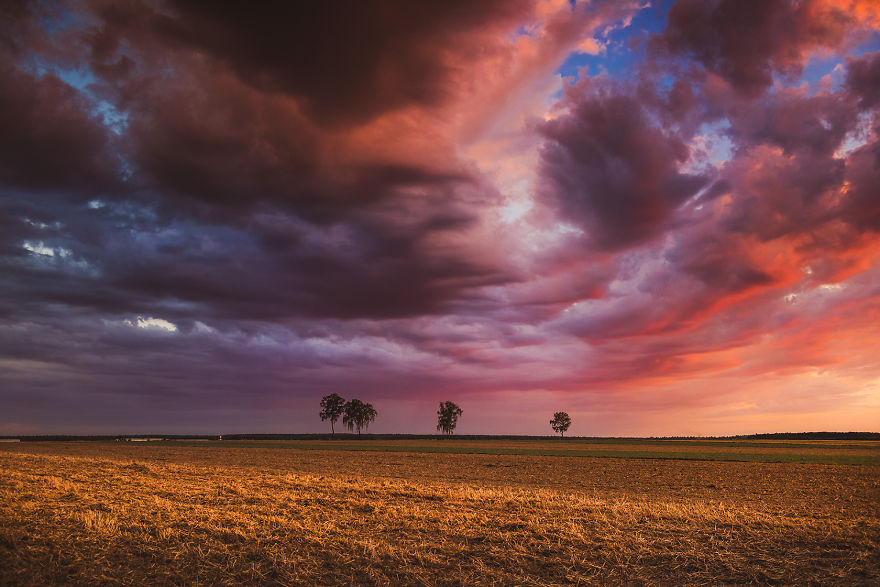 I Just Wanted To Ride A Bike And Something Told Me To Take My Camera With Me