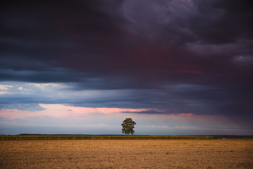 I Just Wanted To Ride A Bike And Something Told Me To Take My Camera With Me