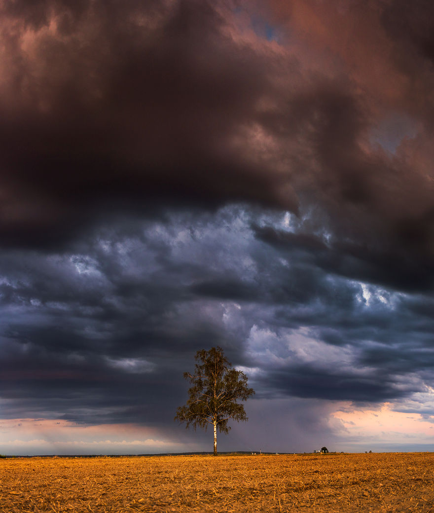 I Just Wanted To Ride A Bike And Something Told Me To Take My Camera With Me