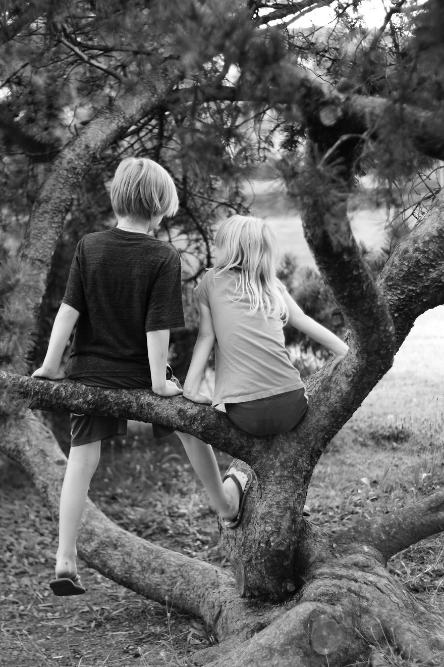 Family Bond Created Through Portraits