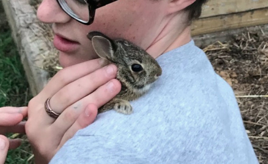 We Found A Bunny... With Our Chickens! We Found A Bunny... With Our Chickens!