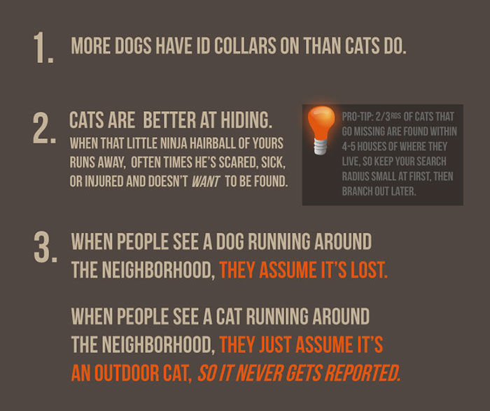 There’s A Campaign To “End The Cat Nudity” And Every Cat Owner Should See It There’s A Campaign To “End The Cat Nudity” And Every Cat Owner Should See It