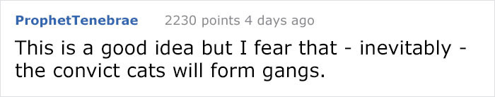 There’s A Campaign To “End The Cat Nudity” And Every Cat Owner Should See It There’s A Campaign To “End The Cat Nudity” And Every Cat Owner Should See It