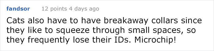 There’s A Campaign To “End The Cat Nudity” And Every Cat Owner Should See It There’s A Campaign To “End The Cat Nudity” And Every Cat Owner Should See It
