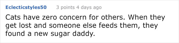 There’s A Campaign To “End The Cat Nudity” And Every Cat Owner Should See It There’s A Campaign To “End The Cat Nudity” And Every Cat Owner Should See It