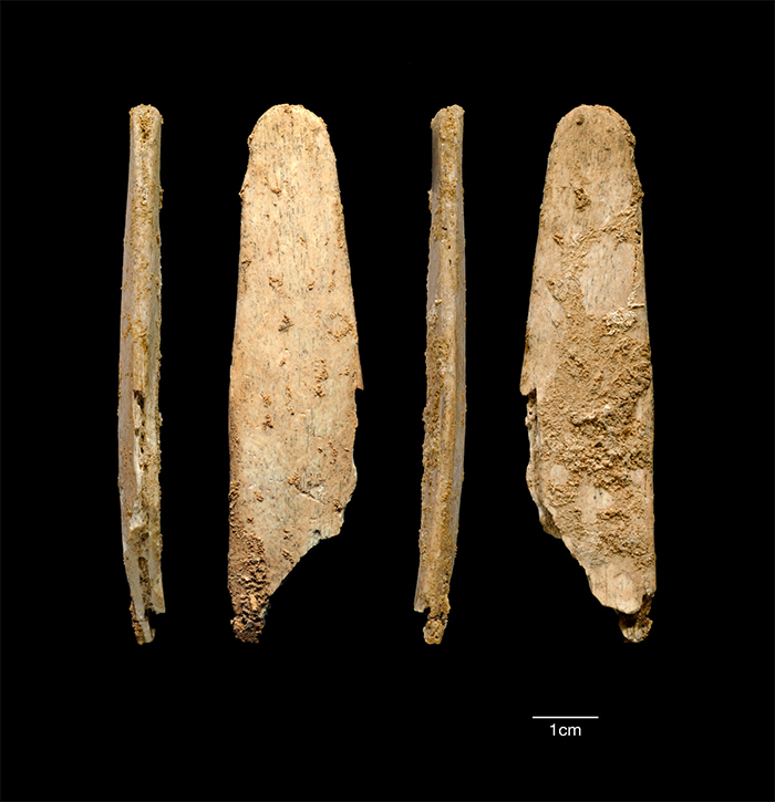 Tumblr User Shares A Story How Craftsmen Helped Scientists Identify A Tool Created 50,000 Years Ago And Still Used Today