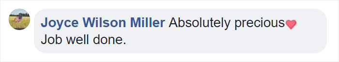 Internet Is Laughing At These Family Pics After Mom Lets Autistic Son Wear T-Rex Suit As He Hates Being Photographed Internet Is Laughing At These Family Pics After Mom Lets Autistic Son Wear T-Rex Suit As He Hates Being Photographed