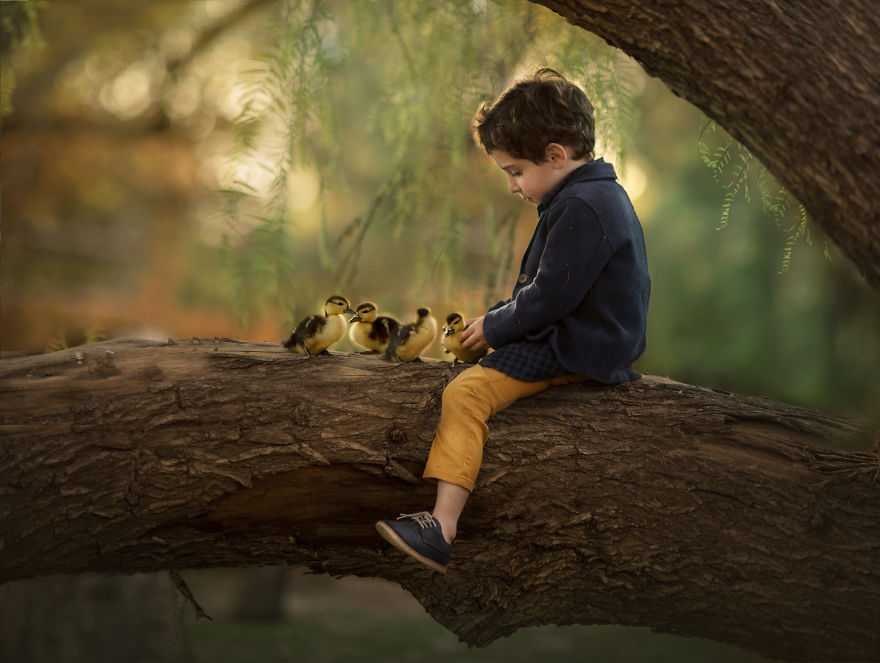 I Became A Storyteller Without Writing