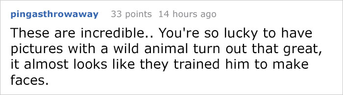 The Internet Is Cracking Up Over This Bear&rsquo;s Reaction To This Couple Getting Married At The Zoo (3 Pics)